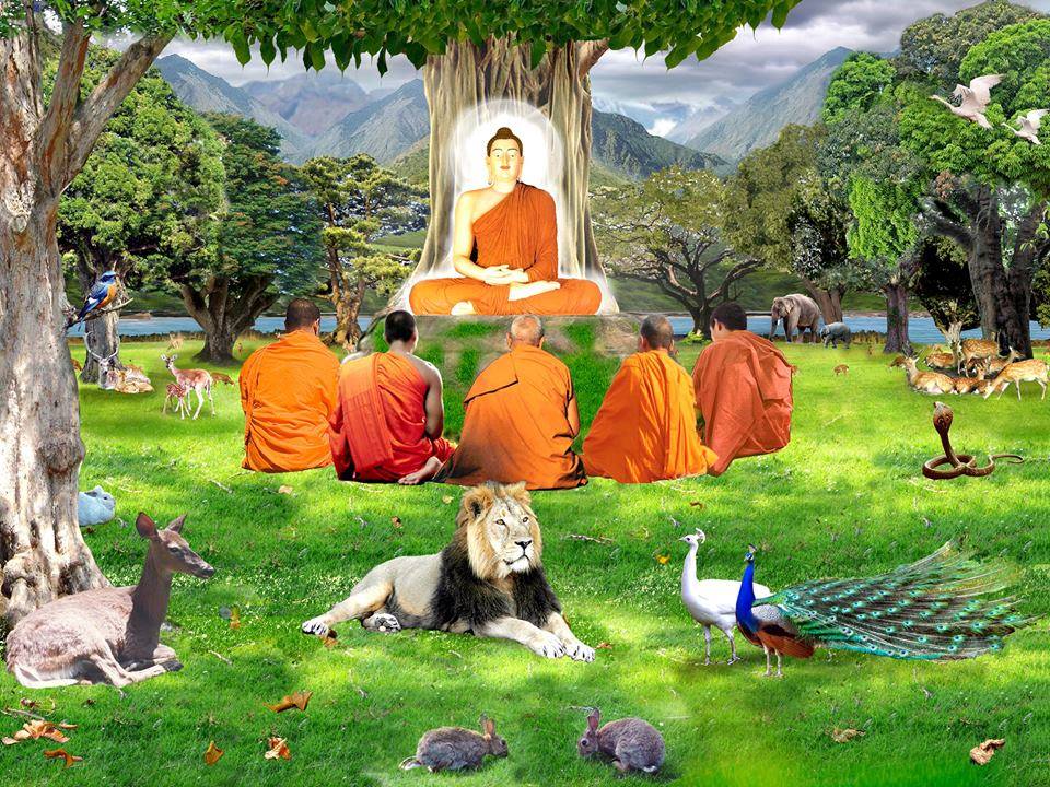 धम्म चक्र-पवत्तन-कथा<br>Buddha’s First Sermon History of Guru Pournima