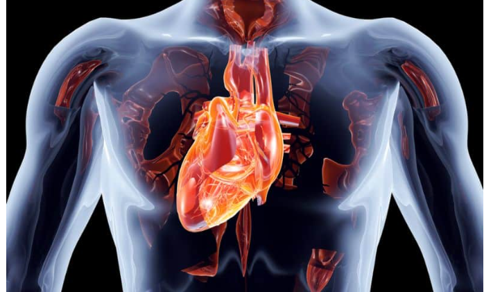 नागपुर में 70 साल की महिला का दाईं तरफ मिला दिल….हार्ट अटैक के बाद बड़ा खुलासा