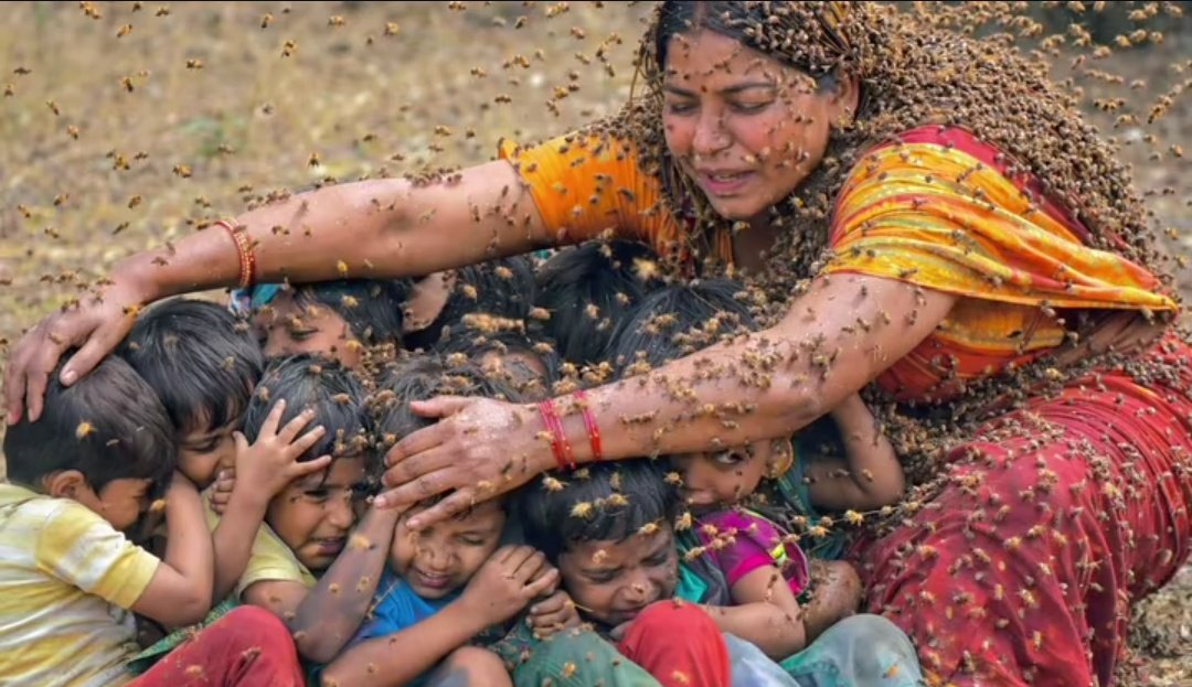 20 बच्चों की जान बचानेवाली कंचन बाई मेघवाल को शहादत का दर्जा क्यों नहीं?