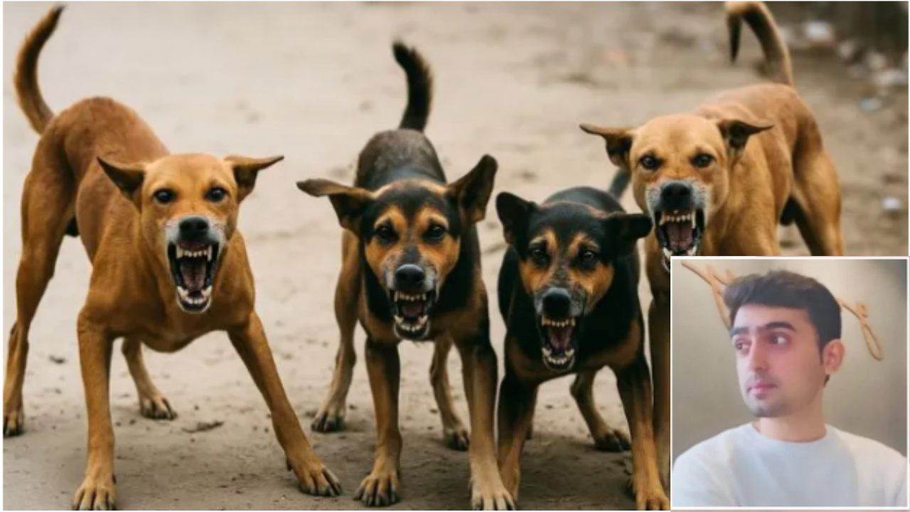 कुत्ते ने काटा तो रेबीज होने के डर से बैंककर्मी ने दे दी जान