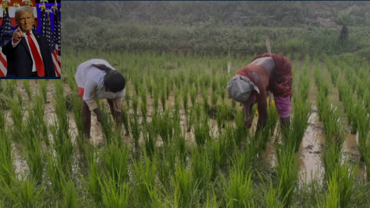 जिसका डर था, वही हुआ….भारत – अमेरिका ट्रेड डील पर क्या बोले किसान संगठन